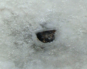 20120219 tire on the ice at Eunpyeong newtown 3.jpg