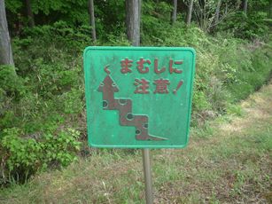 P1090258.JPG