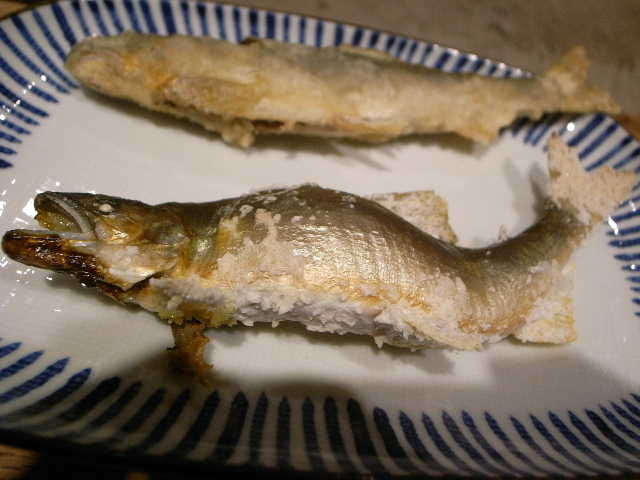 RIMG15178.JPG