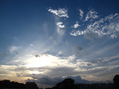 IMG_9841.JPG