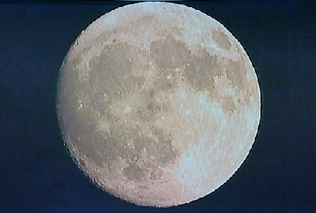 IMG_3965.jpg