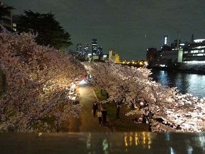 20150404天満橋夜.jpg