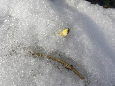 DSCN8125.jpg