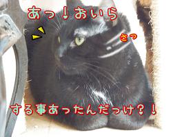 鈴さっ.JPG
