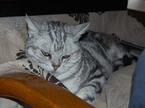 DSC_0120.JPG