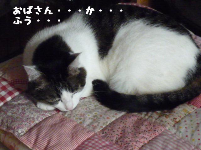 みいちゃん7歳5