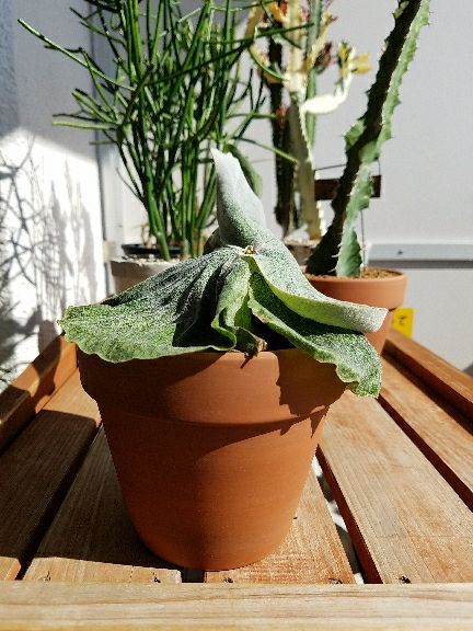 rblog-20180408121938-08.jpg