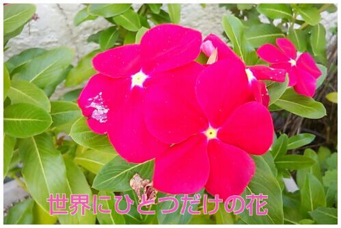 rblog-20161020203953-00.jpg