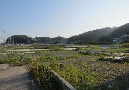 大きな傷跡