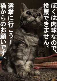 20130714001657.gif