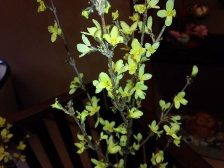 IMG_20150223_172327-p.jpg