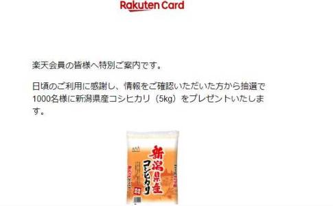 ハスーイの末裔① エルマ族のケムチャ」意味不明すぎる迷惑メールは何なのか