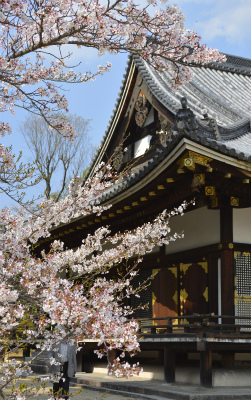 仁和寺3