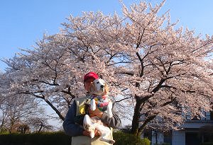 20120408大石寺