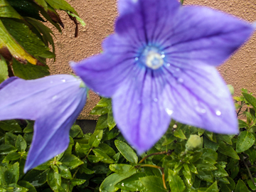 DSCN5760.jpg