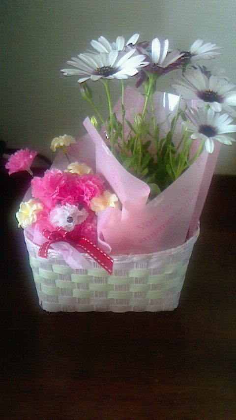 母の日にもらった花