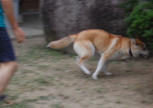 DSC_0073.JPG
