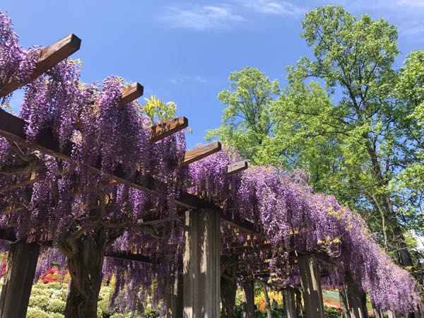 rblog-20170519112607-07.jpg