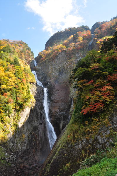 称名滝の紅葉