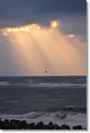 松任海浜公園-16 光芒-8 13.1.9