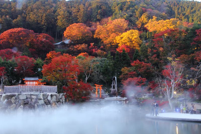 勝尾寺_5-7.jpg