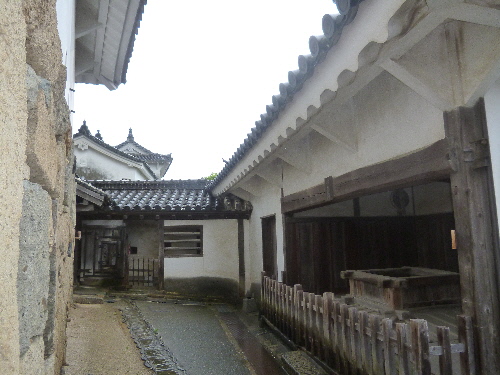 P1100834(1).JPG