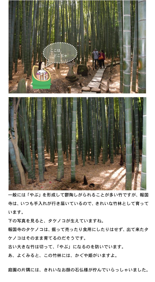 2013.04.27-4.jpg