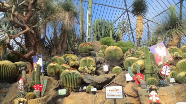 シャボテン公園