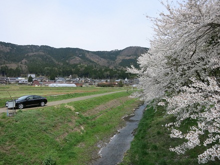 IMG_5970.jpg