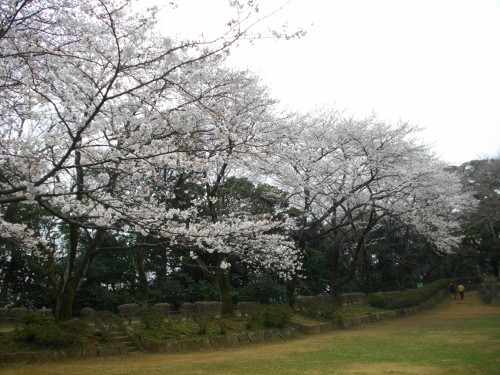 里見公園 (1) (500x375).jpg