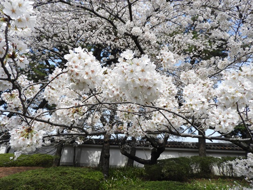 皇居東御苑