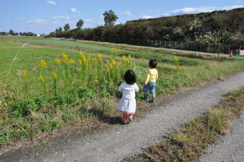 双子の孫