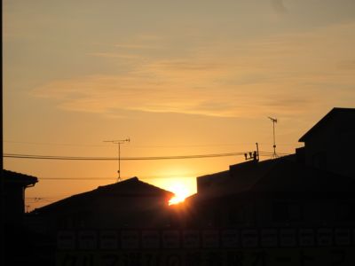 IMG_8705.JPG