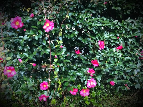 rblog-20161129163609-03.jpg