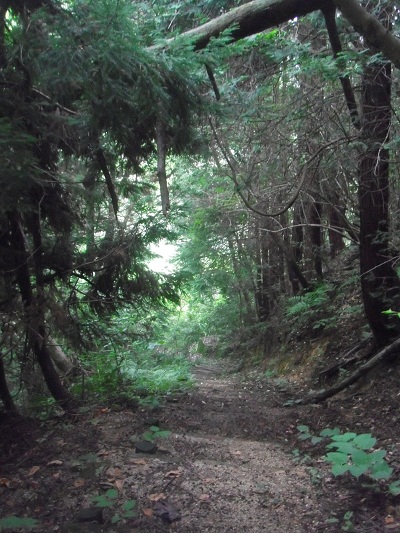 登山道近道