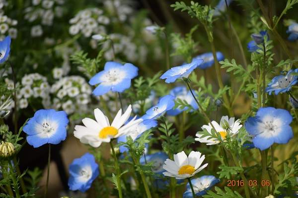 DSC_0117.JPG