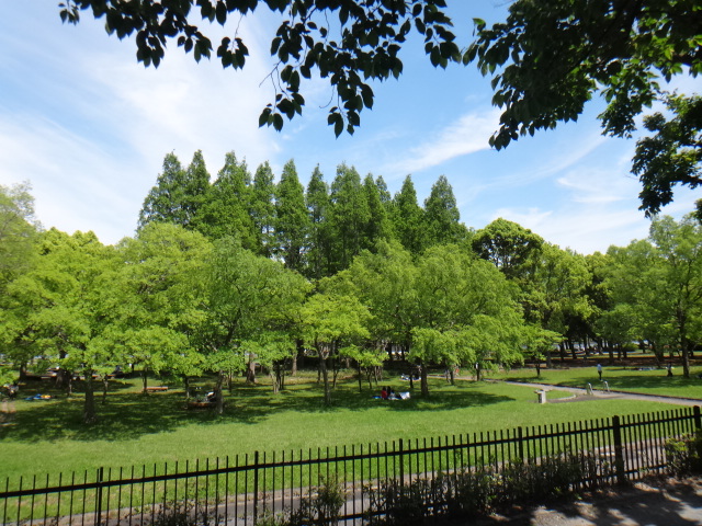 水元公園