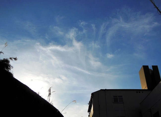 夕暮れ