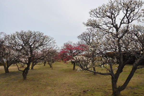 内山邸