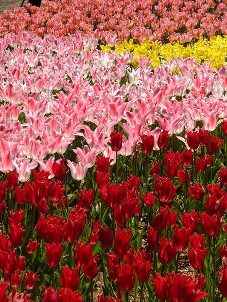 画像 093.jpg