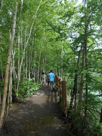 北海道旅行　青い池