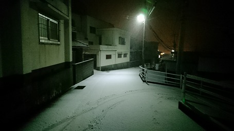 DSC_0559.jpg