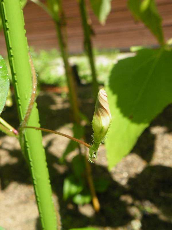 DSCF8498.jpg