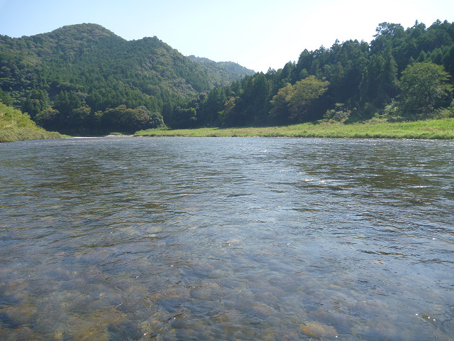 resize0006.jpg