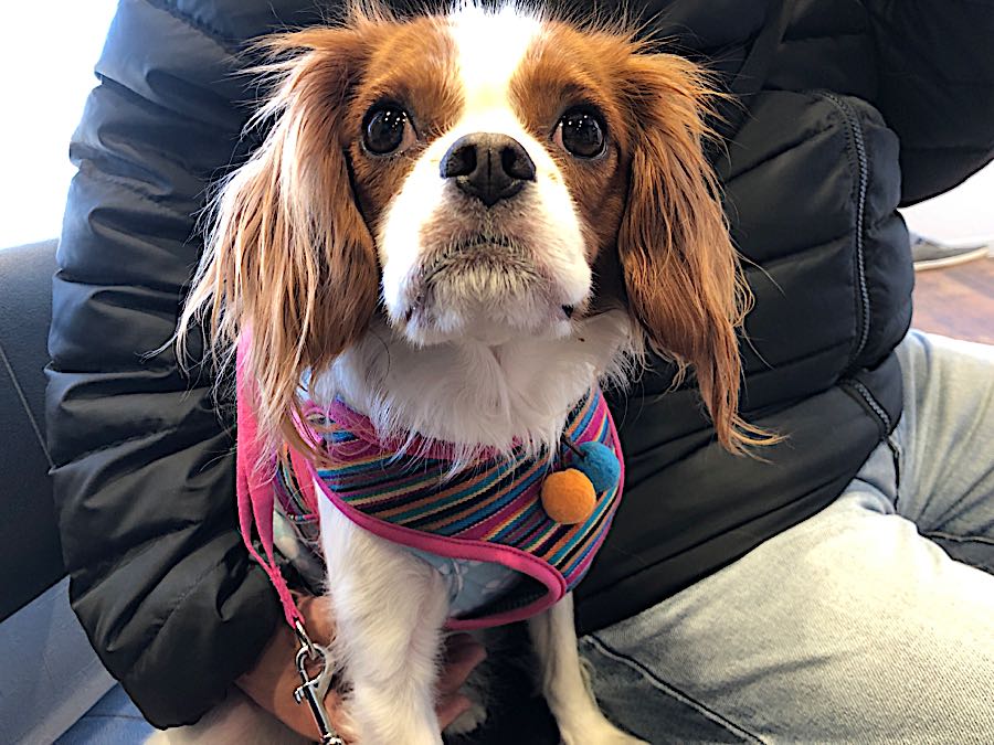 rblog-20190104100624-05.jpg