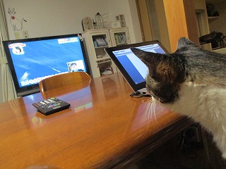 IMG_9442ss.jpg