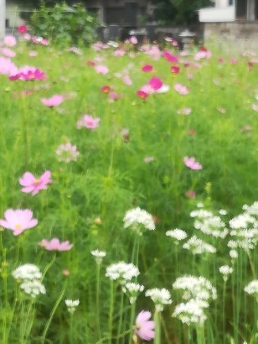 rblog-20170908061733-01.jpg