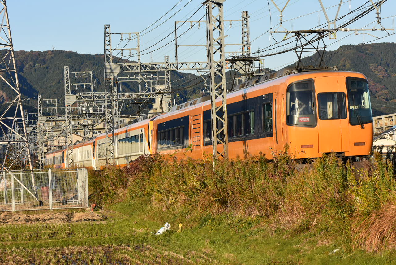 DSC_9529.JPG