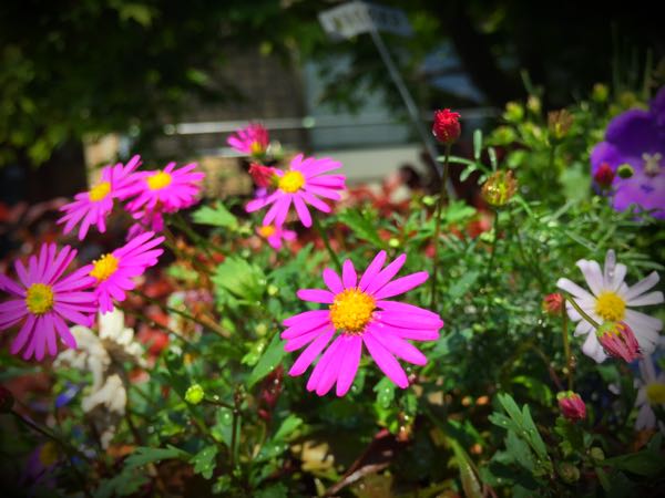 rblog-20160430164719-05.jpg
