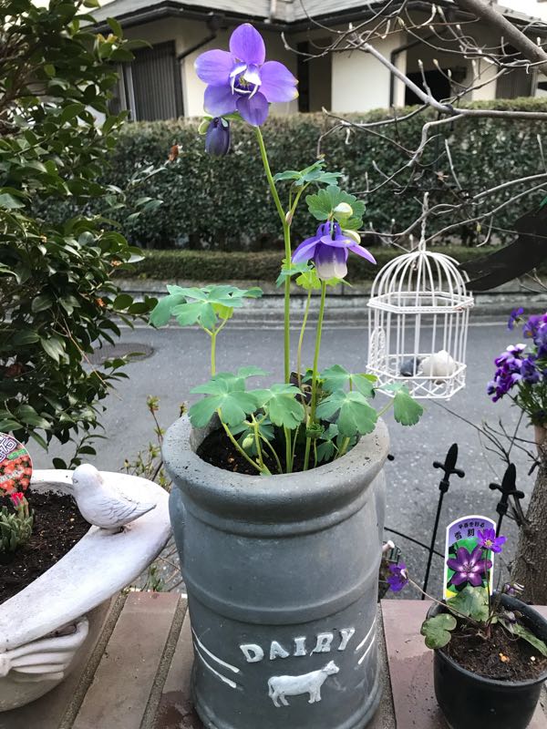 rblog-20180328191025-04.jpg